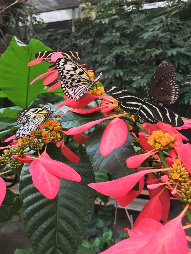 2018-03-08 15.53.48 HDR