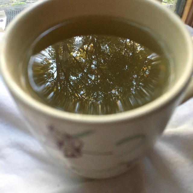 2018-10-31 08.24.21-1