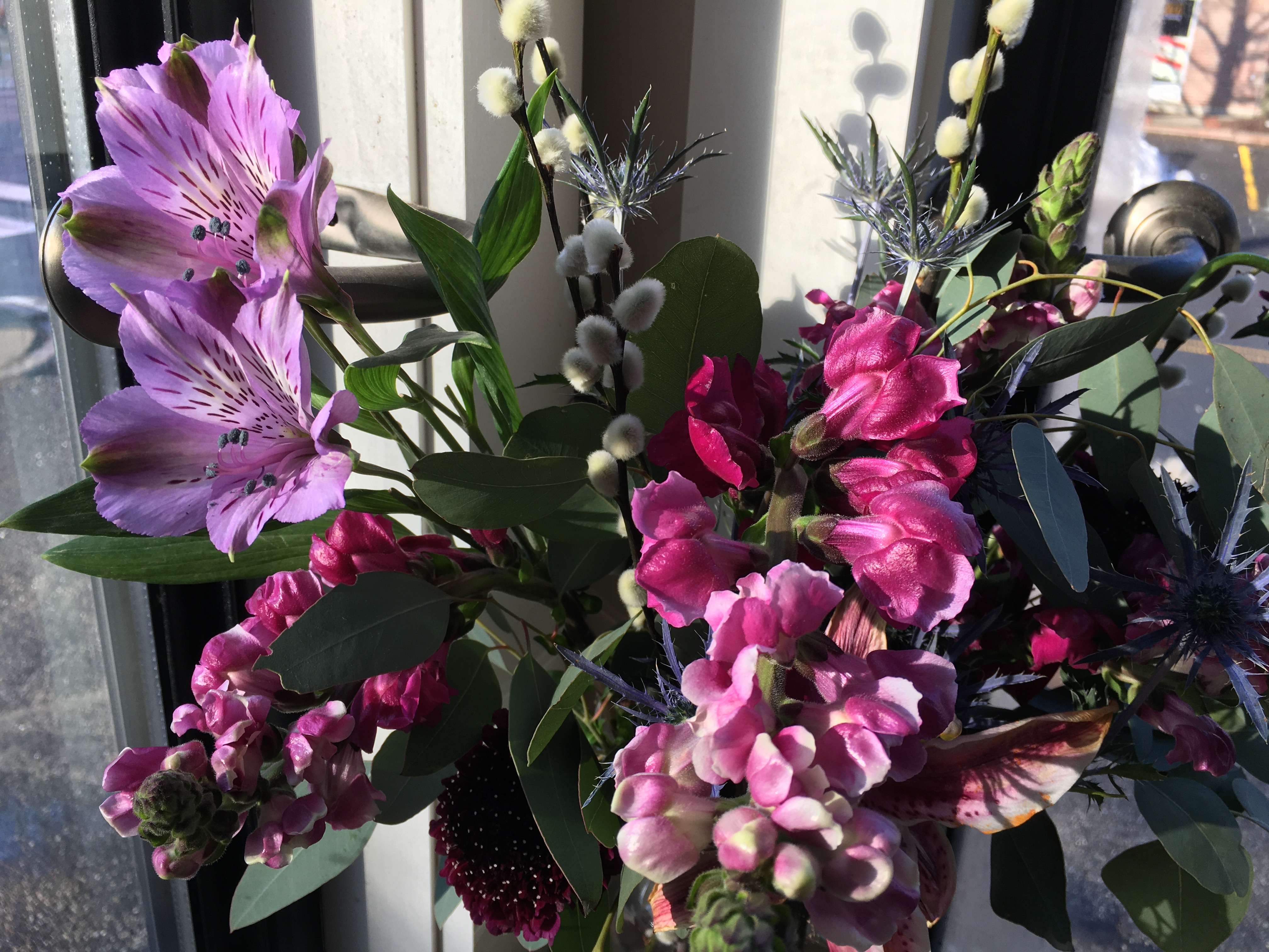 2020-01-26 09.26.33 HDR